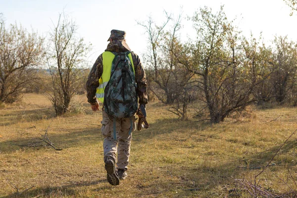 Hunter German Drathaar Spaniel Pigeon Hunting Dogs Reflective Vests — Stock Photo, Image