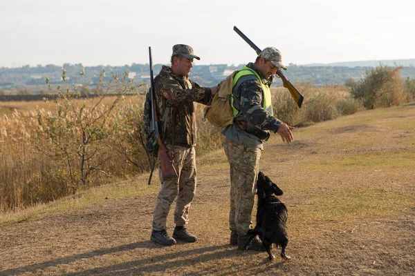 Caza Con Drathaar Alemán Spaniel Caza Palomas Con Perros Chalecos — Foto de Stock