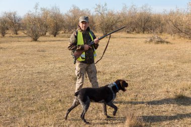 Silahlı bir avcı ve bir köpek bozkırda ilk kara çıkarlar yansıtıcı yelek giymiş sülün avlarlar.