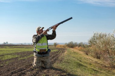 Bir Alman drathaar ve İspanyol, güvercin ile yansıtıcı yelek köpeklerde avcılık avcı