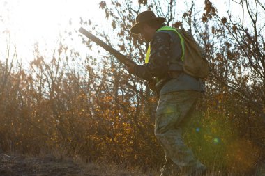 Bir Alman drathaar ve İspanyol, güvercin ile yansıtıcı yelek köpeklerde avcılık avcı