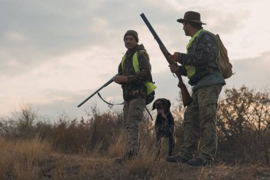 Alman drathaar ve spaniel ile Huntes, yansıtıcı yelek köpeklerle güvercin avı