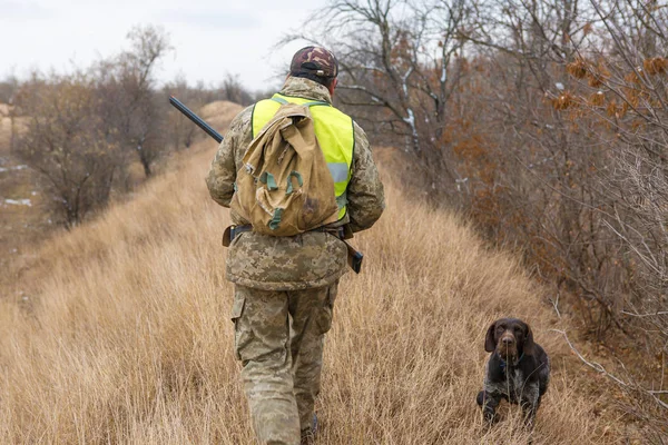 Hunter German Drathaar Spaniel Pigeon Hunting Dogs Reflective Vests — Stock Photo, Image