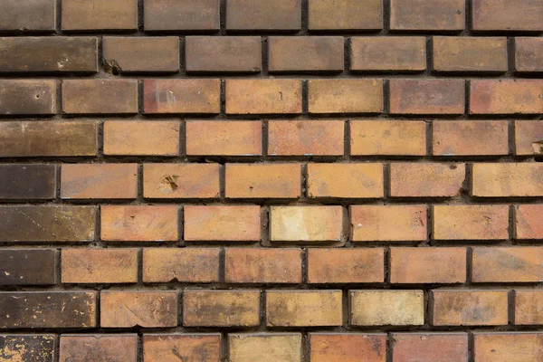 Old Brick Wall Background — Stock Photo, Image