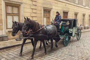 at arabası, Viyana, Avusturya