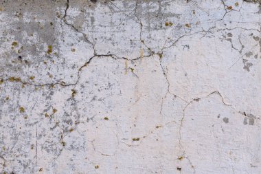 Asbest kayrak doku beton kaplı liken ve moss, sanayi malzeme doğal çimento, metin için panorama yer ile