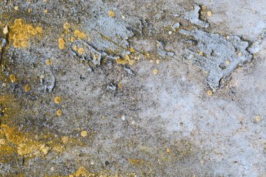 Asbest kayrak doku beton kaplı liken ve moss, sanayi malzeme doğal çimento, metin için panorama yer ile