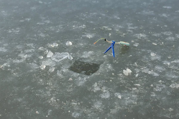 Barra Invierno Agujero Salva Para Imán Pesca Gusano Sangre — Foto de Stock