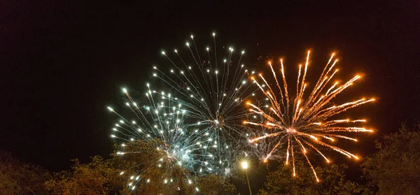Holiday Fireworks Night Sky — Stock Photo, Image