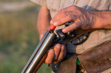 Bir Alman drathaar ve İspanyol, köpeklerle ava güvercin ile avcılar