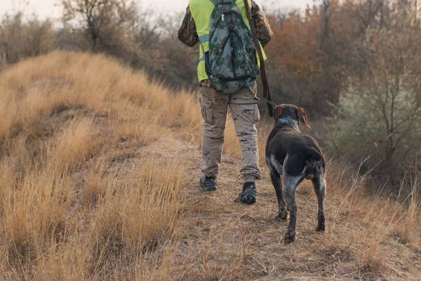 Hunter Con Escopeta Cacería Perros Aire Libre —  Fotos de Stock