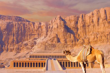Kraliçe Hatshepsut 'un Tapınağı, Mısır' daki kaya tapınağı manzarası