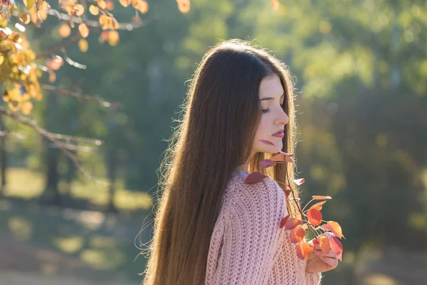 Retrato Mulher Muito Jovem Camisola Malha Elegante Floresta Dourada Outono — Fotografia de Stock
