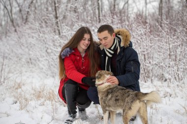 Adam ve kız kış ormanlarında dinleniyorlar. Karda karı-koca. Genç bir çift kış parkında yürüyor.