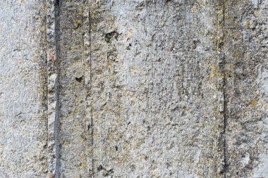 Asbest kayrak doku beton kaplı liken ve moss, sanayi malzeme doğal çimento ile