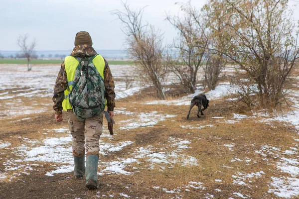 Hunter with a gun and a dog go on the first snow in the steppe, Hunting pheasant in a reflective vest