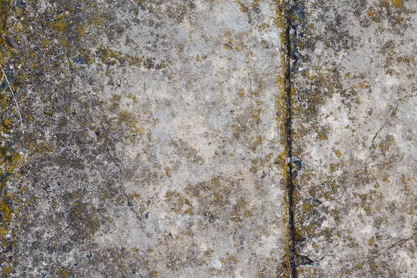 Asbestos slate texture concrete covered with lichen and moss, industry material natural cement