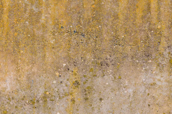 Betão Textura Ardósia Amianto Coberto Com Líquen Musgo Cimento Natural — Fotografia de Stock