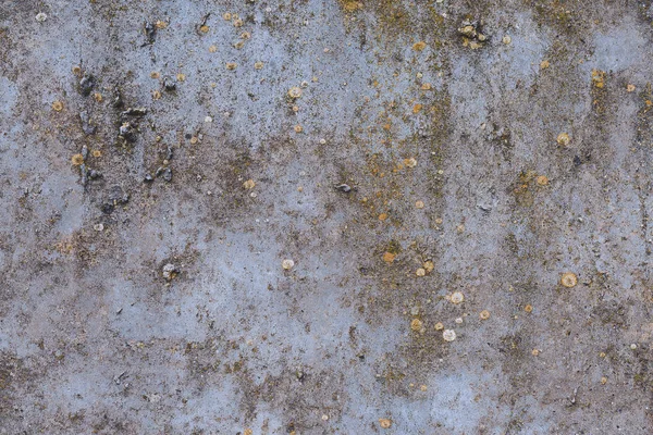 Azbestu Łupek Teksturę Betonu Pokryte Porostów Mech Przemysł Materiałów Naturalnego — Zdjęcie stockowe