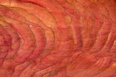 Renkli Kanyon South Sinai (Mısır) Yarımadası'nda bir rock oluşumdur. Çöl kayalar çok renkli kumtaşı arka plan.