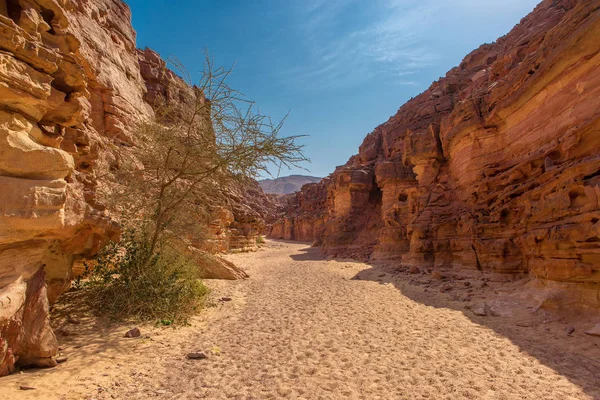 Coloured Canyon Est Une Formation Rocheuse Dans Péninsule Sinaï Sud — Photo