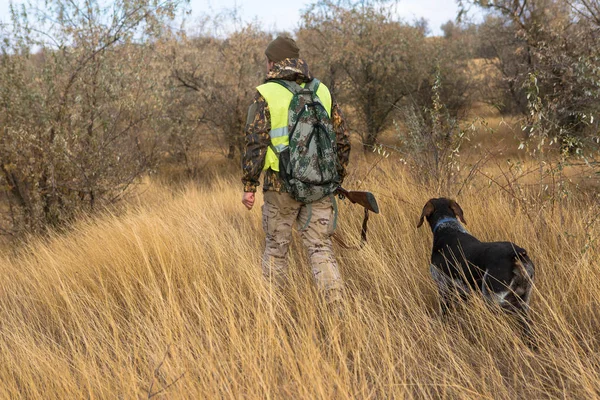 Hunter Shotgun Dog Hunting Outdoors — Fotografia de Stock