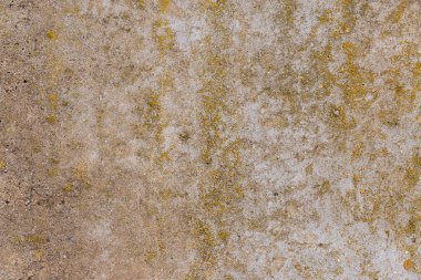 Asbest kayrak doku beton kaplı liken ve moss, sanayi malzeme doğal çimento ile