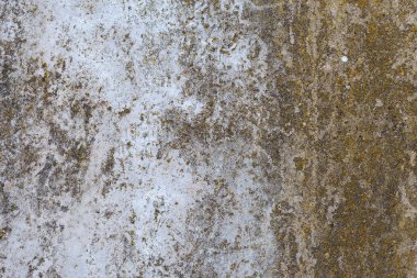 Asbest kayrak doku beton kaplı liken ve moss, sanayi malzeme doğal çimento ile