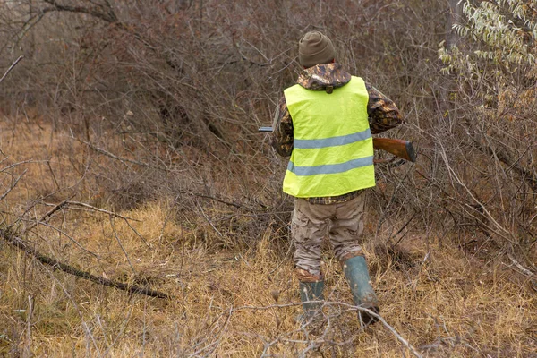 Cazador Con Drathaar Alemán Spaniel Caza Palomas Con Perros Chalecos — Foto de Stock