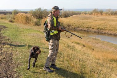 Bir Alman drathaar ve İspanyol, güvercin ile yansıtıcı yelek köpeklerde avcılık avcı