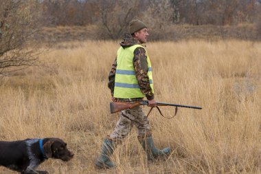 Bir Alman drathaar ve İspanyol, güvercin ile yansıtıcı yelek köpeklerde avcılık avcı