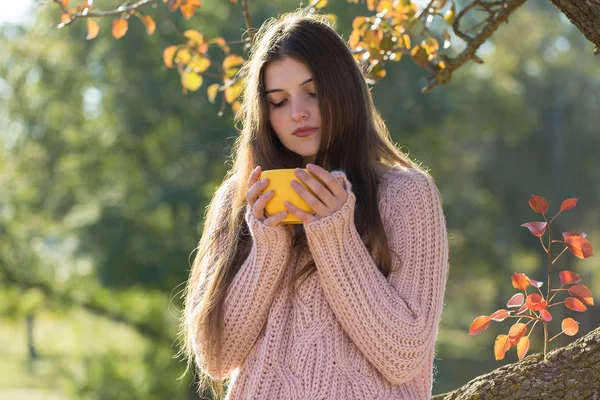Retrato Mulher Muito Jovem Camisola Malha Elegante Floresta Dourada Outono — Fotografia de Stock