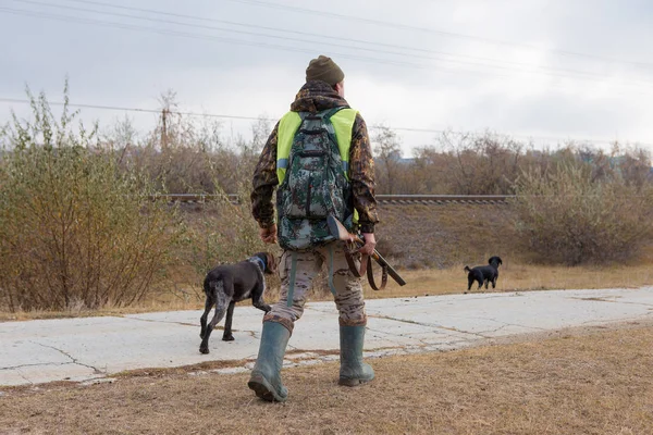 Jäger Mit Deutschem Drathaar Und Spaniel Taubenjagd Mit Hunden Reflektierenden — Stockfoto