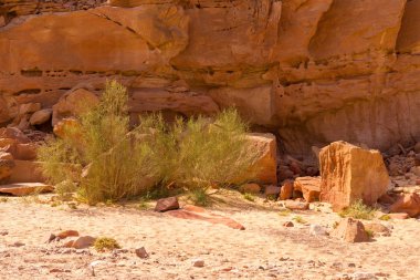 Renkli Kanyon South Sinai (Mısır) Yarımadası'nda bir rock oluşumdur. Çöl kayalar çok renkli kumtaşı arka plan.