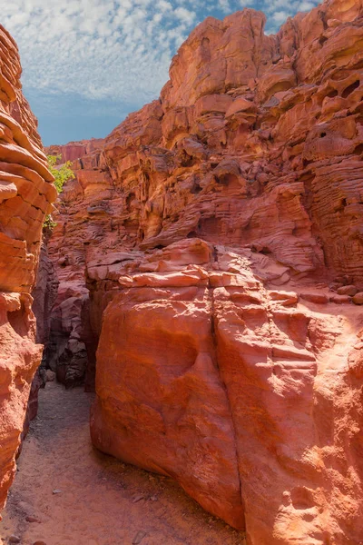 Színes Kanyon Egy Rock Formáció South Sinai Egyiptom Félszigeten Sivatagi — Stock Fotó