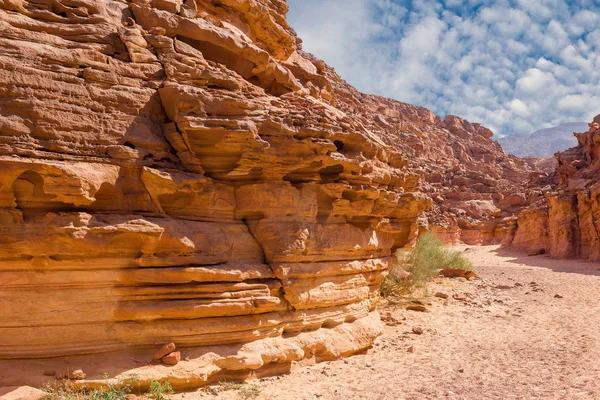 Coloured Canyon Est Une Formation Rocheuse Dans Péninsule Sinaï Sud — Photo