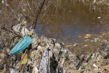 Çöp sahasında plastik torbalar ve şişeler. İzinsiz çöp salınımı, doğanın kirliliği. Çevre felaketi kavramı.