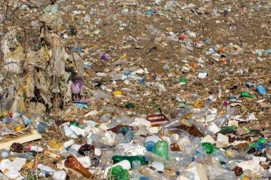 Çöp sahasında plastik torbalar ve şişeler. İzinsiz çöp salınımı, doğanın kirliliği. Çevre felaketi kavramı.
