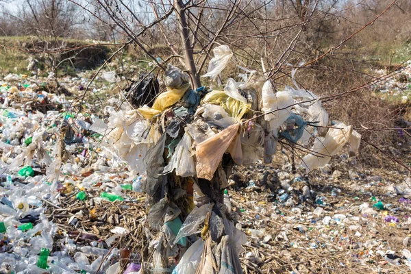 Çöp Sahasında Plastik Torbalar Şişeler Zinsiz Çöp Salınımı Doğanın Kirliliği — Stok fotoğraf