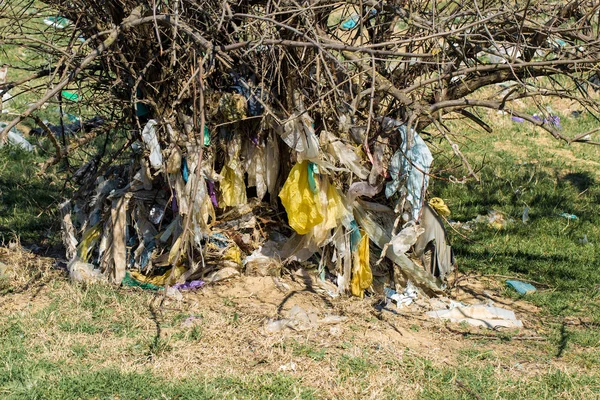 Çöp Sahasında Plastik Torbalar Şişeler Zinsiz Çöp Salınımı Doğanın Kirliliği — Stok fotoğraf
