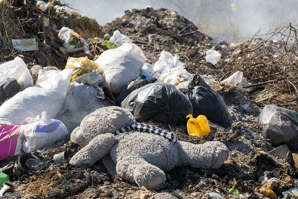 埋め立て地のビニール袋やボトル ゴミの無許可放出 自然汚染 環境災害の概念 — ストック写真