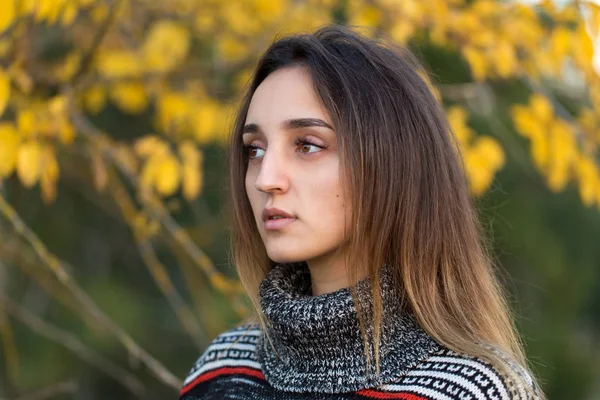 Portrait Beautiful Young Woman Warm Sweater Autumn Park — Zdjęcie stockowe