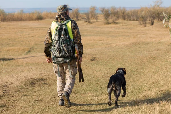 Cazador Masculino Con Cacería Perros Aire Libre —  Fotos de Stock