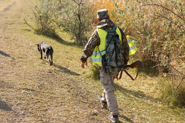 Male Hunter Dog Hunting Outdoors — Stok fotoğraf