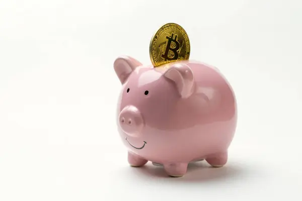 Beyaz Arka Planda Bitcoin Ile Piggybank Sanal Kripto Para Birimi — Stok fotoğraf