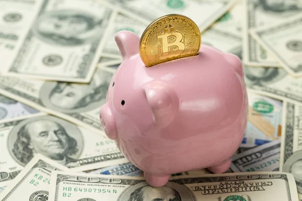 100 Dolarlık Banknotların Bitcoin Madeni Paralarının Arka Planında Domuz Kumbarası — Stok fotoğraf