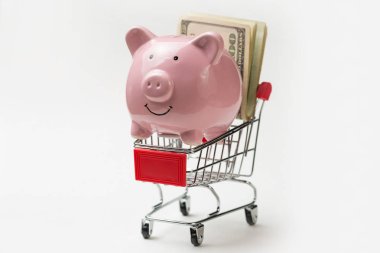 Kumbara, içinde dolar olan bir market arabasına bindir. Mağazada mal satın alma kavramı.