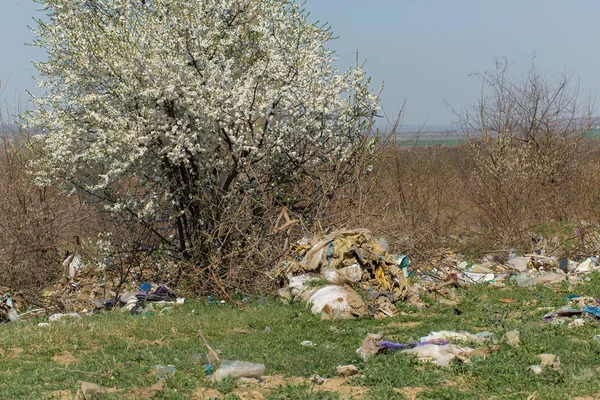 Garbage Pollution Nature Outdoors — ストック写真