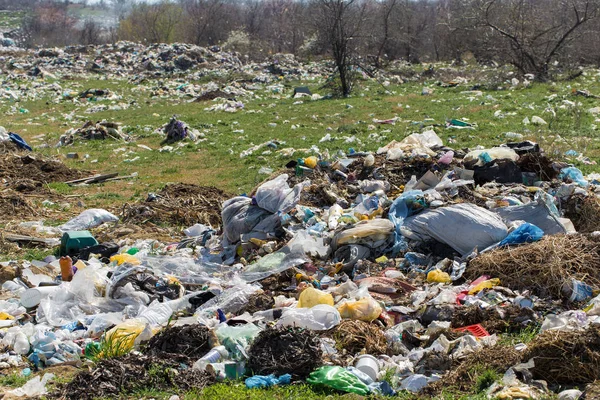 Znečištění Odpadků Přírodě — Stock fotografie