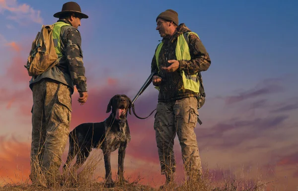 Male Hunters Dog Hunting Outdoors — 스톡 사진